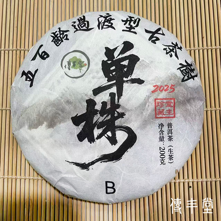 2025年 五百齡過渡型古樹單株青餅  (B.馬庄單株)